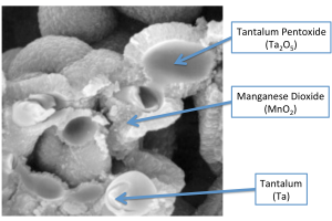 MnO2-Tantalum Cross-sectioned SEM