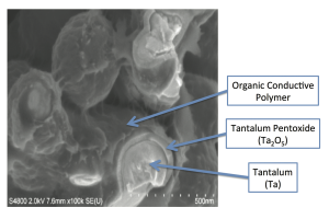 PEDOT Cross-Section SEM Annotated