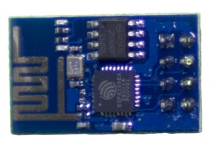 Popular ESP8266 Wireless Module